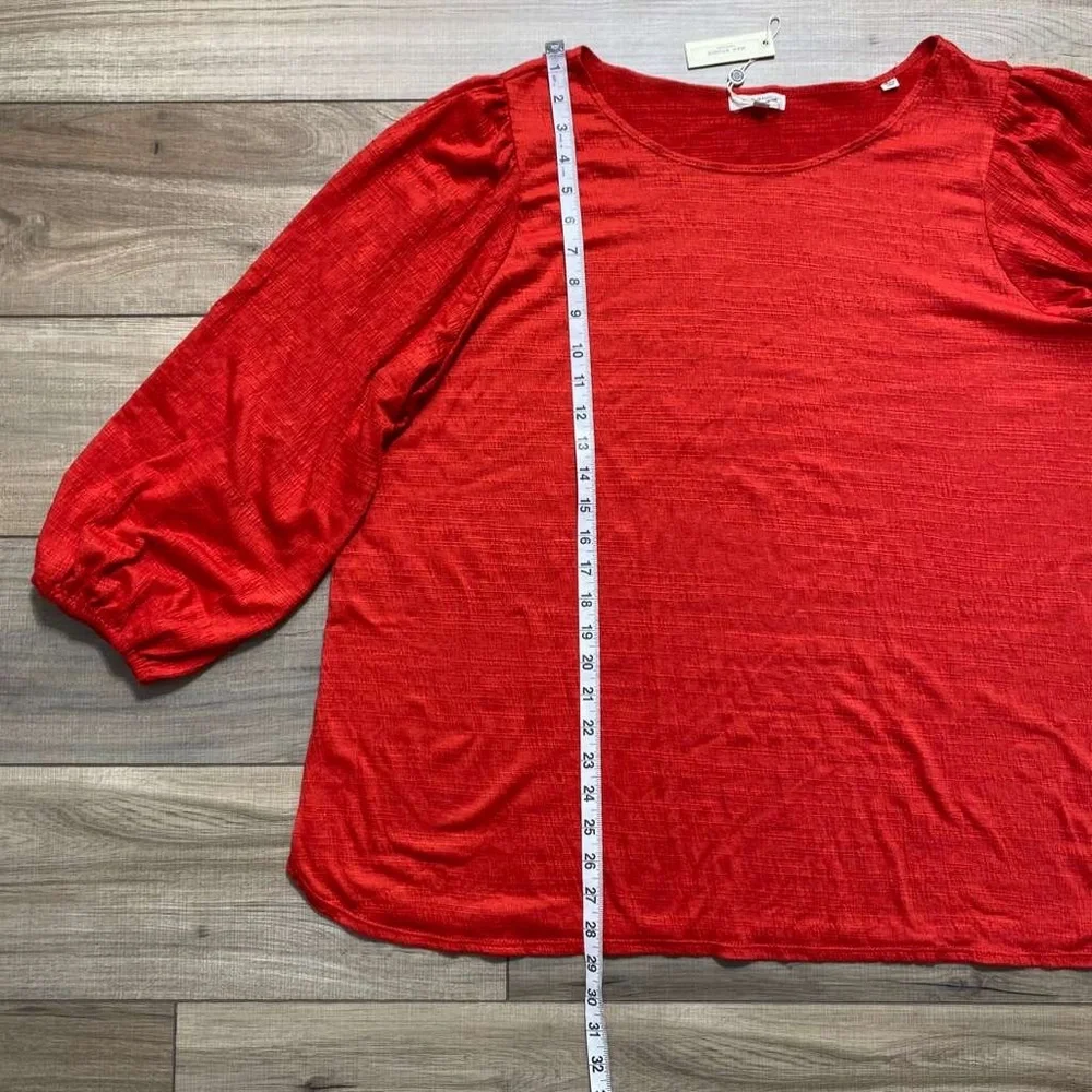 Max Studio | Tops | Max Studio London Womens 34 Balloon Sleeve Textured ...